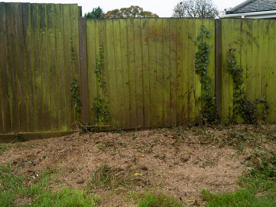 The same fence line with the stumps ground out and the ground levelled