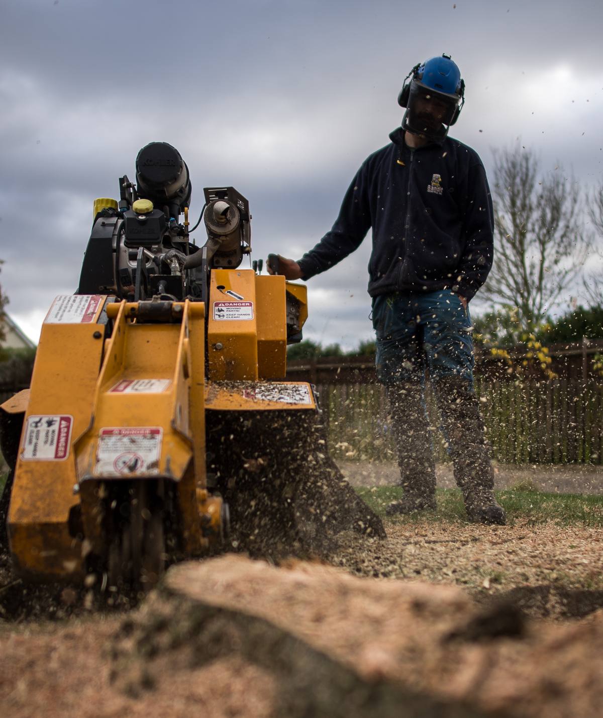 Andrew grinding a tree stump, wood chips flying
