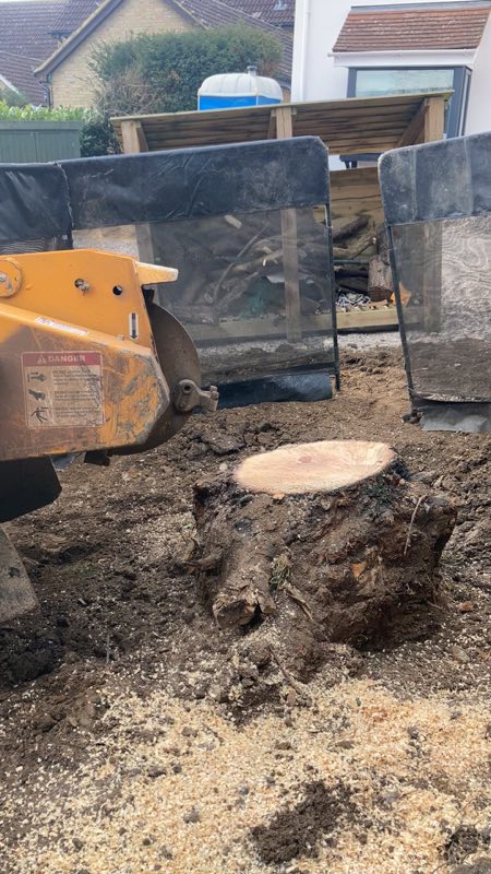 Ground cleared after root grinding